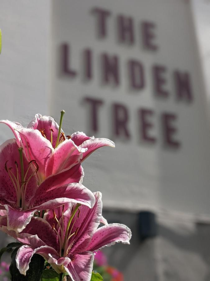 Linden Tree Bed & Breakfast Gloucester Luaran gambar